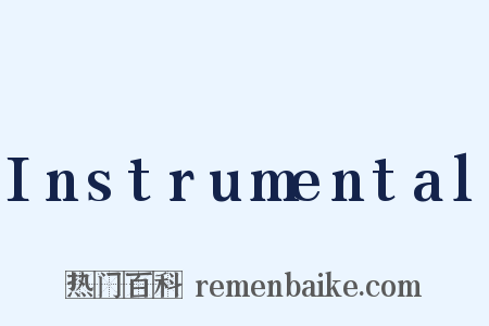 Instrumental是什么意思的图片